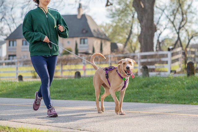 Nurse who worked to find a travel nurse Job jogging with dog